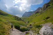 Clicca qui per vedere l'immagine in dettaglio